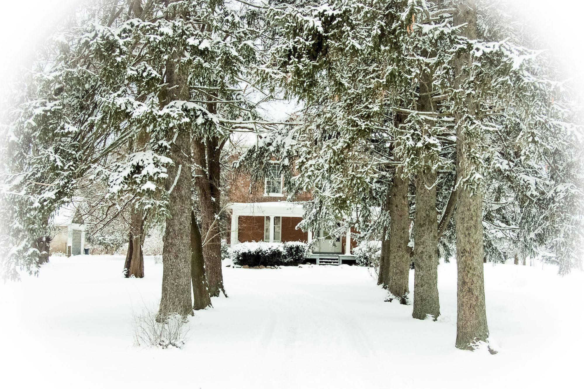 Culverdene House Simcoe Εξωτερικό φωτογραφία
